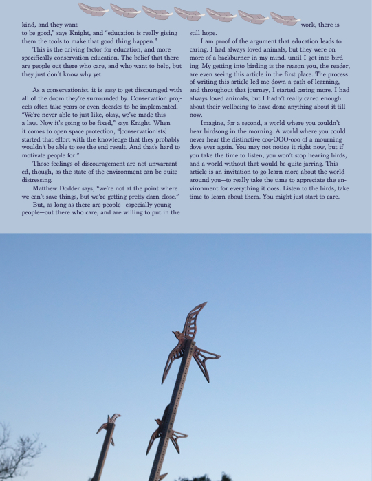 Article by El Baltz